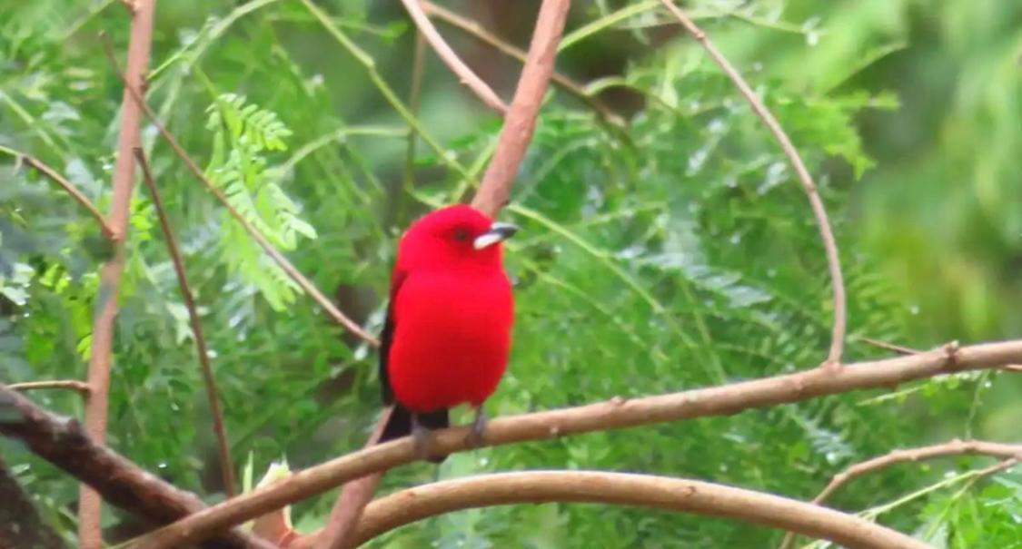 2 At Casa Danni * Rio de Janeiro