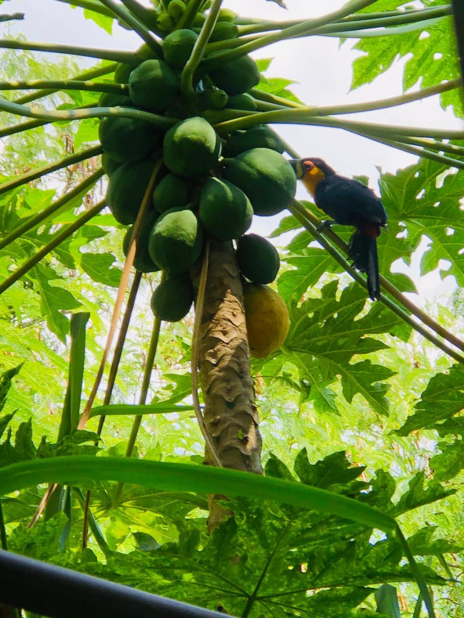 2 At Casa Danni