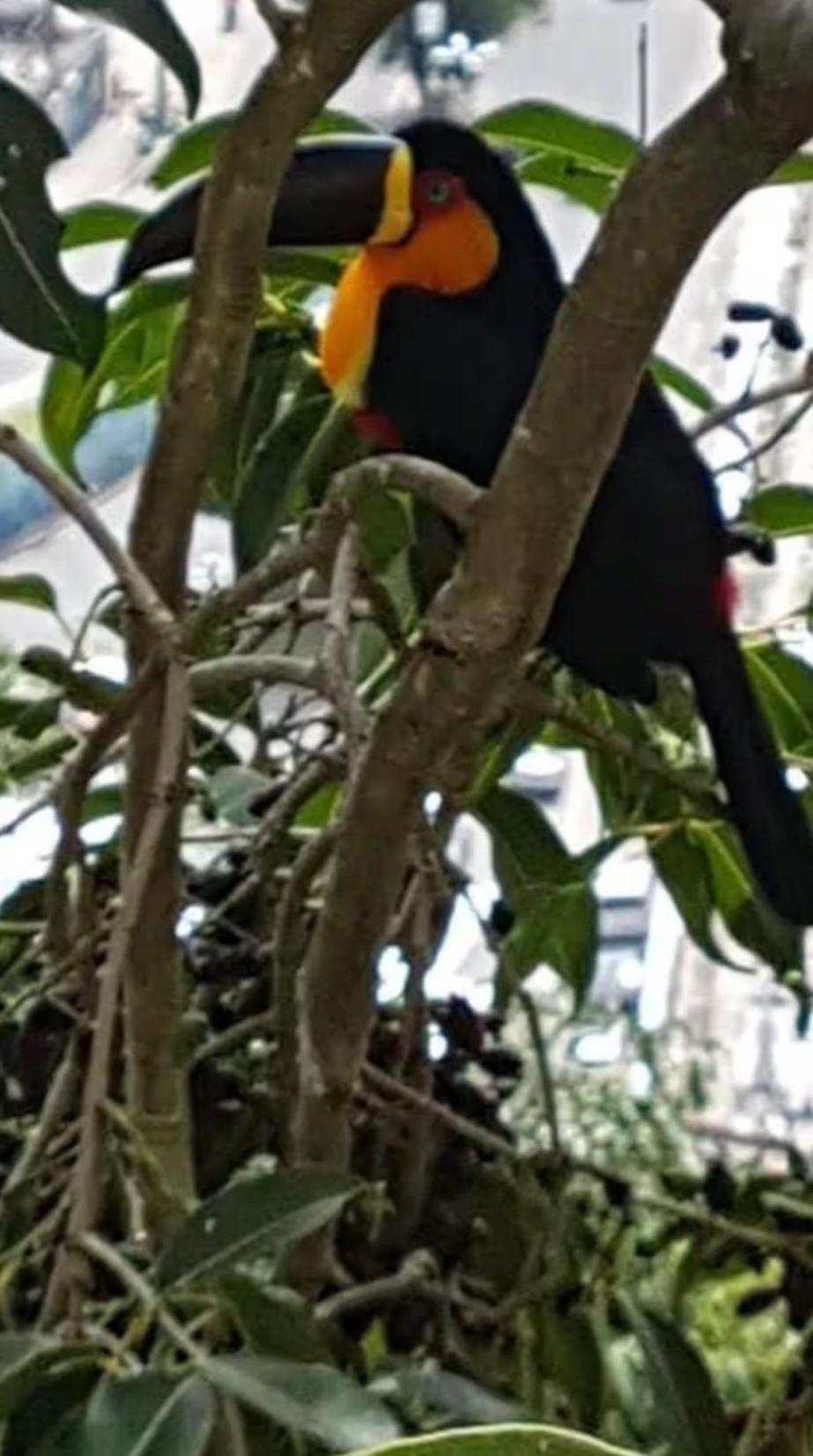2 At Casa Danni Apartamento Rio de Janeiro